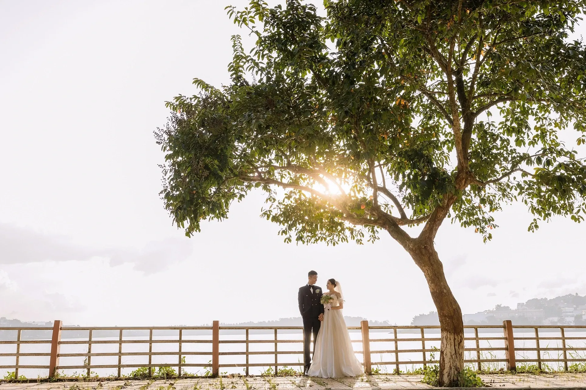 Bride and groom standing beneath a sunlit tree beside a wooden fence.
