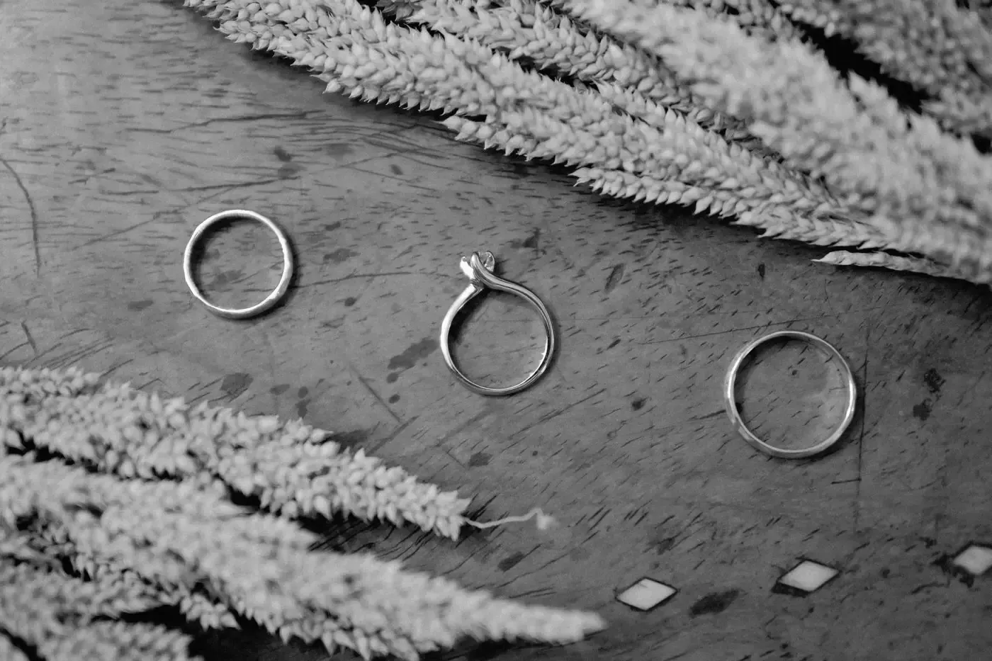 Wedding and engagement rings on a wooden table beside a plant, in black and white.